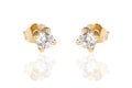 PENDIENTES ORO 9 K JUEGO CIR GRAPAS