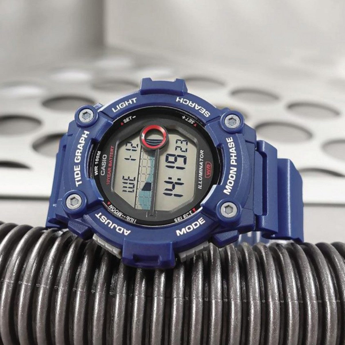 Rellotge Casio Sr. Ref: WS-1300H-2AVEF