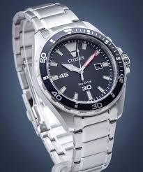 Citizen Sr. Ref: BM7450-81L
